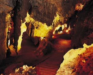 Explore the Cradle of Humankind – The Origin of Your Species 